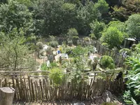 IMG_1350 (Large).webp