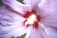 PICT0012.webp