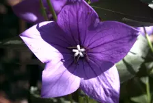 PICT0014.webp