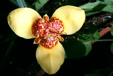 PICT10026.webp