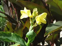 Bild 056.webp