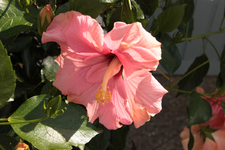 IMG_0894.webp