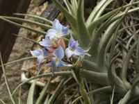 BILD3812.webp