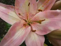 BILD3800.webp
