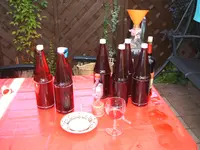 Garten 21.08.09 001.webp