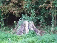 100_2648_600_450.webp