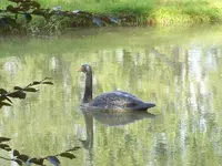 100_2652_600_450.webp