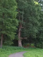 100_2654_450_600.webp