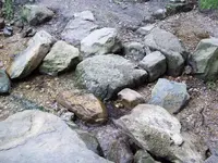 100_2659_600_450.webp