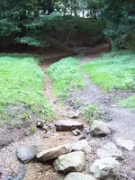 100_2661_450_600.webp