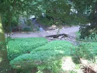 100_2665_600_450.webp