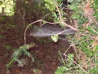 100_2670_600_450.webp