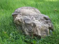 100_2673_600_450.webp