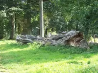 100_2675_600_450.webp