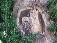 100_2699_600_450.webp
