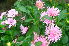 IMG_2482.webp