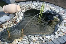 Wasserspeier 250er_klein.webp