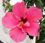 DSC08789.webp