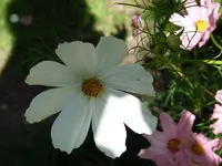 P1000113.webp