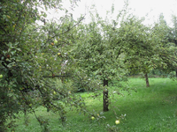 Größenänderung IMG_4421.webp