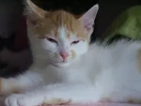 R0012441.webp
