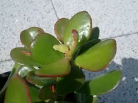 IMGP5688__.webp