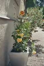 imm015_16A.webp
