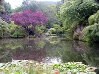 2008 Kannada 19.-25.9. 427.webp
