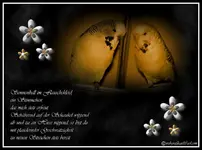 Collage feli871.webp
