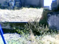 DC00263.webp