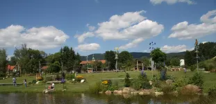 A (29).webp