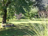 Garten Aug.09 2 048.webp