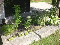 Garten Aug.09 2 065.webp