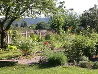 Garten Aug.09 2 066.webp
