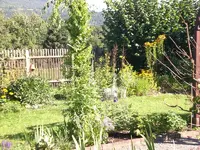 Garten Aug.09 2 067.webp