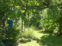 Garten Aug.09 2 069.webp