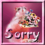 sorry00028.gif