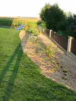 IMG_1041.webp