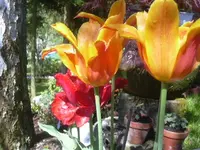 Bücher 017.webp