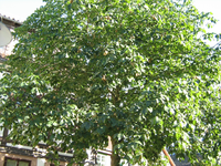IMG_2504.webp