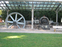 IMG_2509.webp