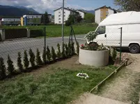 IMGP4955.webp