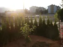 IMGP7053.webp