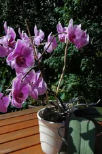 DSC_0088.webp