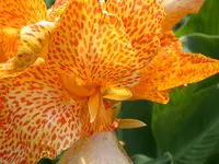 DSCN7545.webp