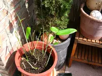 DSCN2090.webp
