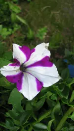 018.webp
