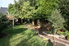IMG_0905  1.webp