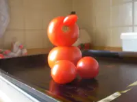 Tomibild5.webp