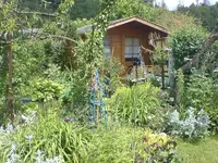 dsc00312.webp